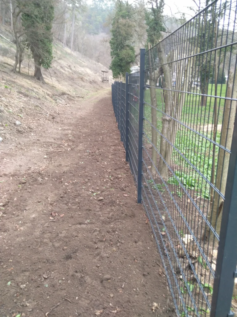 Gitterzaun entlang eines Waldwegs – langlebiger Wild- oder Schutzzaun zur Grundstücksabgrenzung